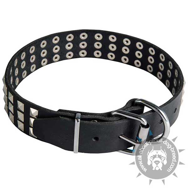 Demandable leather Pit Bull collar studded with pyramids