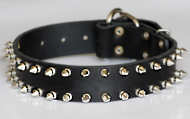 Spiked leather dog collar for pitbull - 2 Rows of spikes