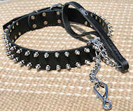 Spiked Design Leather Pitbull Collar Spiked Design Leather Pitbull Collar