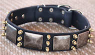 Gorgeous War Dog Leather Dog Collar-massive plates+ brass3 spike Gorgeous War Dog Leather Dog Collar-massive plates+ brass3 spike