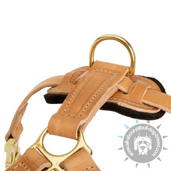 Padded Back Plate and Wide D-ring on Leather Pitbull Harness