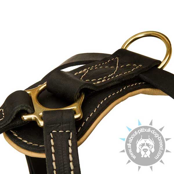 Extra Durable Back Plate on Adjustable Leather Dog Harness for Pitbull