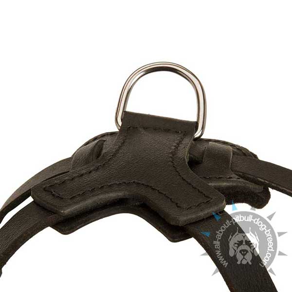 Reliable Wide D-Ring on Practical Training Leather Pitbull Harness