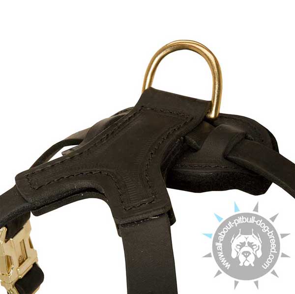 Shiny D-ring on Walking Strong Leather Dog Harness for Pitbull