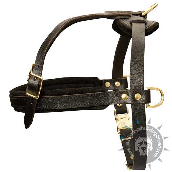Comfortable strong leather Pitbull harness