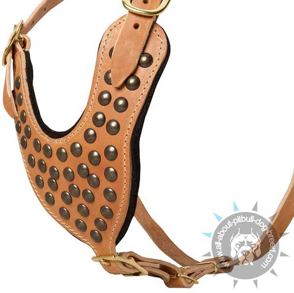 Hand-Decorated Studded Leather Pitbull Harness