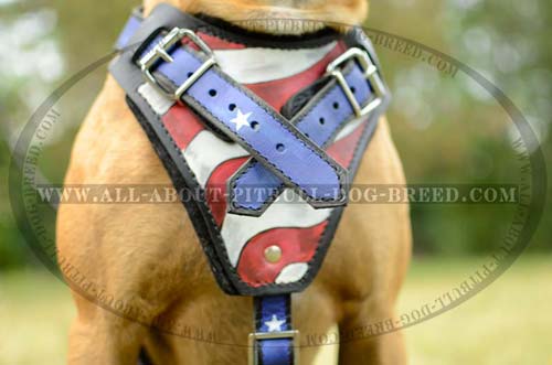 Newest Pitbull Breed Leather Harness