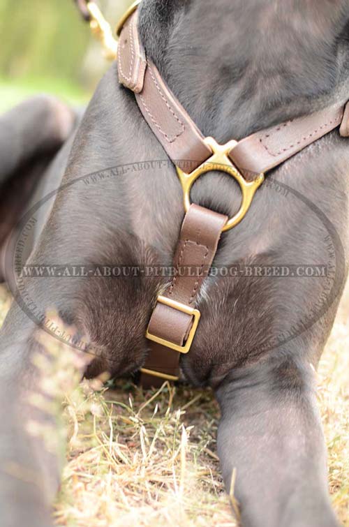 Super Strong  Leather Dog Harness