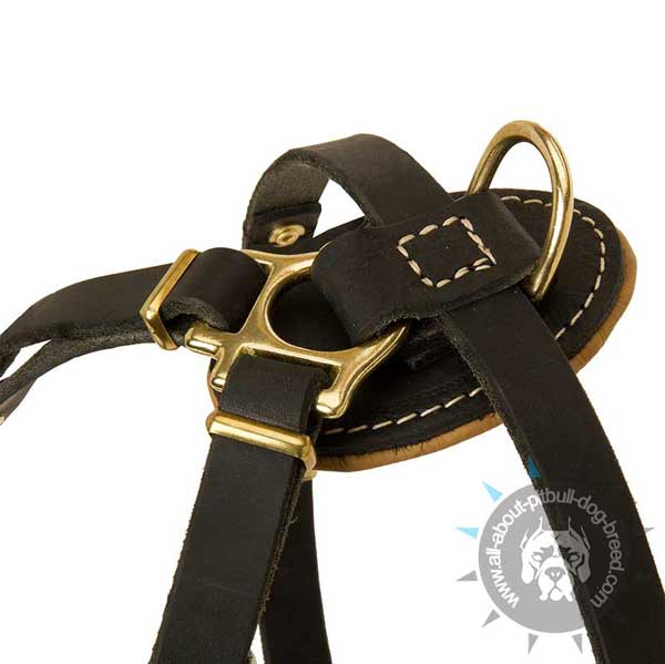 Leather Pitbull harness with rust-proof D-ring 