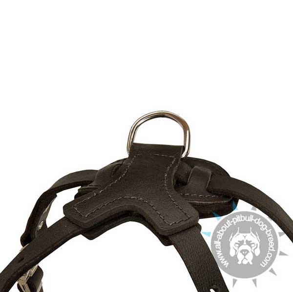 Skilfully designed leather dog harness