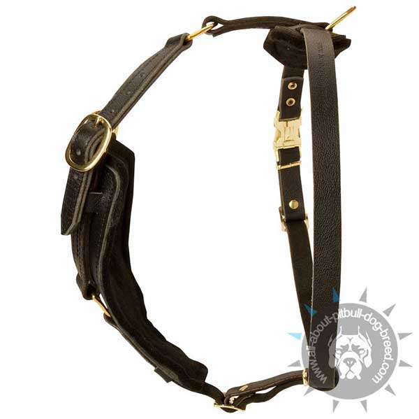 High Quality Leather Pitbull Harness with Strong Straps