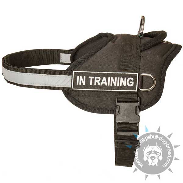 Safety holeproof nylon training harness