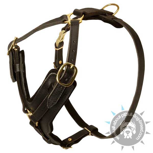 Durable Leather Dog Harness for Pitbull Walking