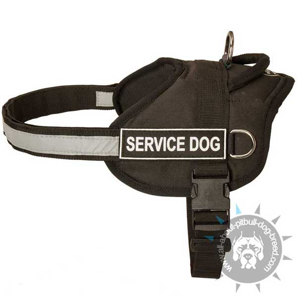 nylon harness for pitbull with easy in use buckle