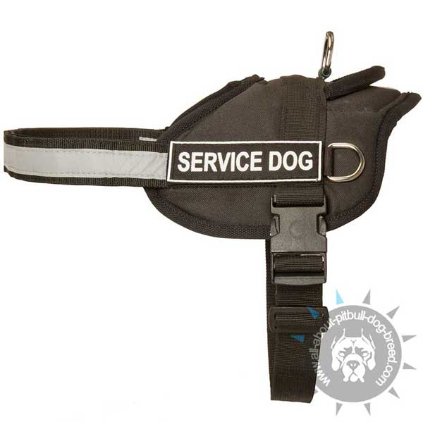 nylon harness for pitbull all weather training