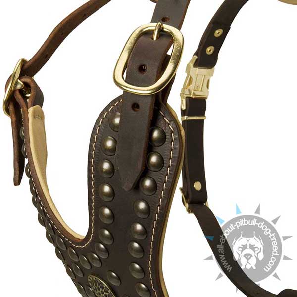Hand-Decorated Padded Leather Pitbull Harness with Studs