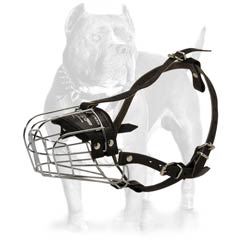 Dog muzzle to stop a Pitbull from chewing things up