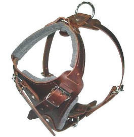 K9 Pro Leather Dog Harness for Pitbull