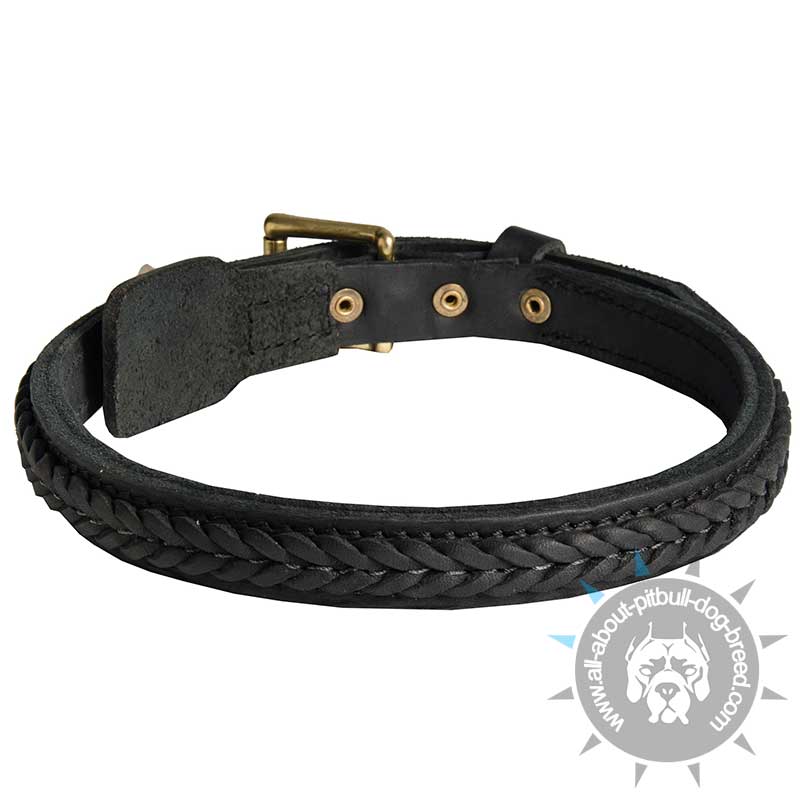 awesome collars get now designer leather collars new braided pitbull collar awesome collars get now designer leather collars new braided pitbull collar