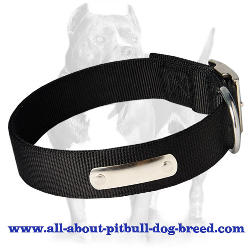 Buy 2 Ply Nylon Dog Collar w/h name tag/Metal Buckle - Click Image to ... Buy 2 Ply Nylon Dog Collar w/h name tag/Metal Buckle - Click Image to ...