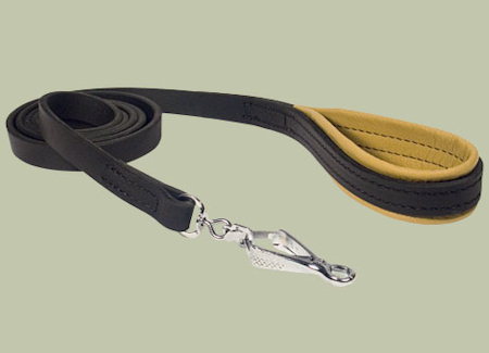 Designer leather dog leashes
