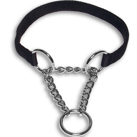 Can A Dog Collar Be Too Loose Can A Dog Collar Be Too Loose