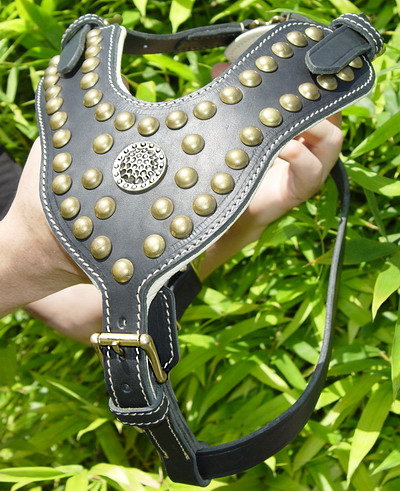 leather dog harness made of padded nappa