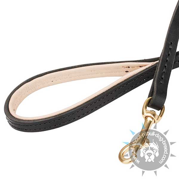 Stitched Leather Dog Leash Decorated for Comfy Walking
