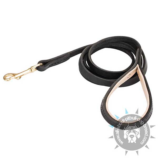 Reliably Stitched Leather Pitbull Leash