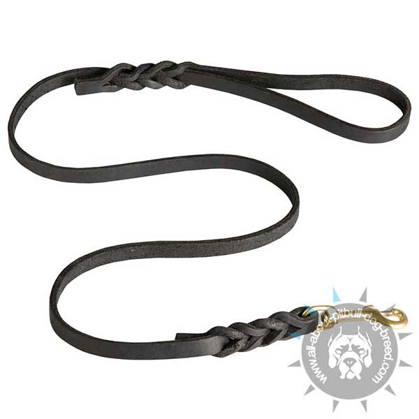 Walking Leather Dog Leash Decorated with Braids
