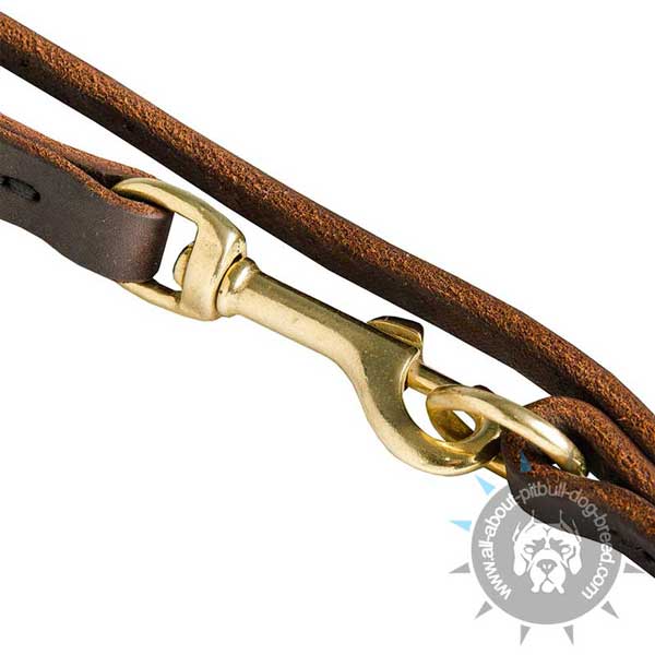 Reliable leather dog leash for walking