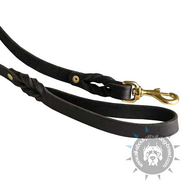 Comfortable Leather Leash with Brass Snapp Hook