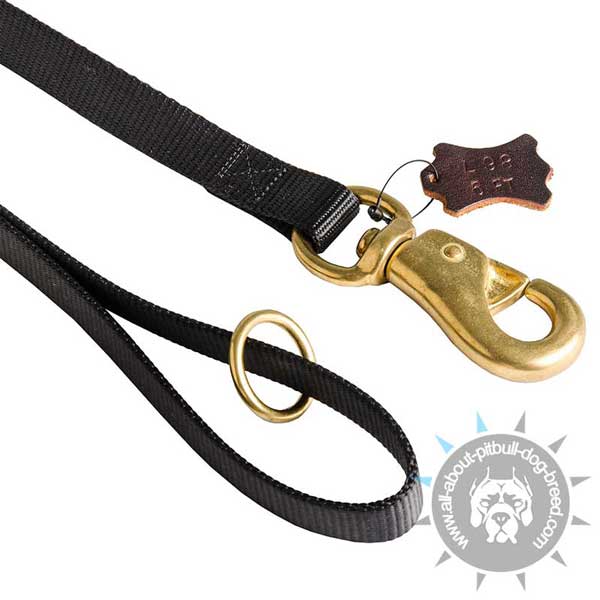 Nylon Leash Reliable in Use