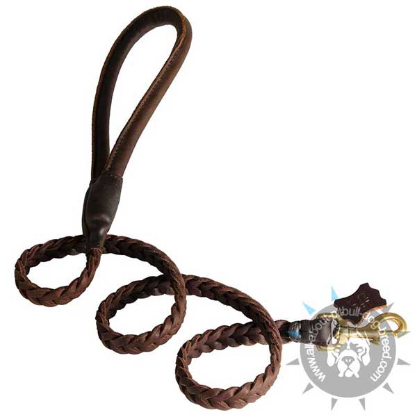 Braided Leather Pitbull Leash with Comfortable Round Handle