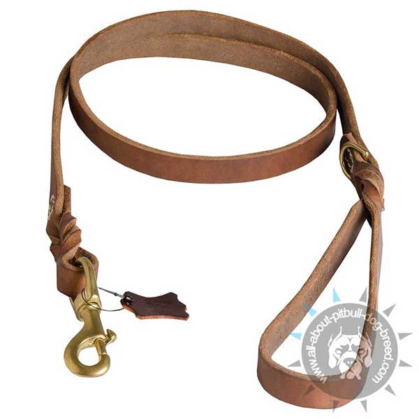 Braided Leather Pitbull Leash for Daily Use