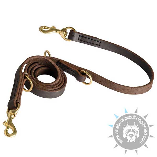 Leather Pitbull Leash for Dog Walking with Regulated Length