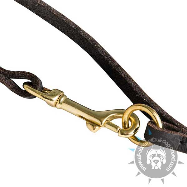 Leather Pitbull Leash with Stitched Brass Hardware