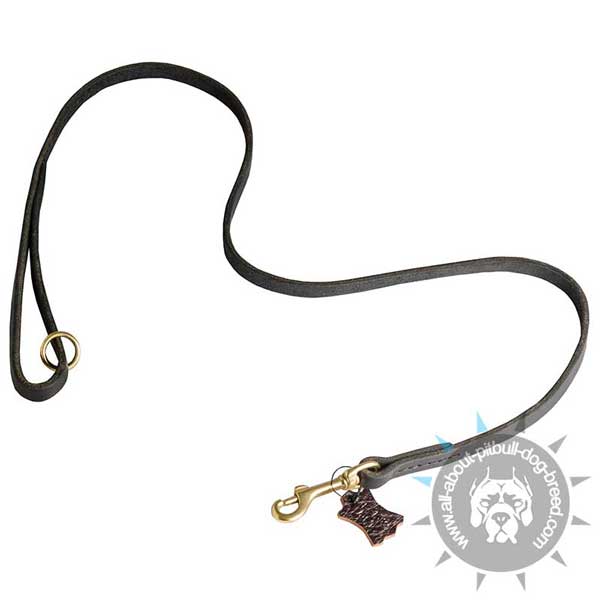 Leather Pitbull Leash with Stitched Handle and Hardware
