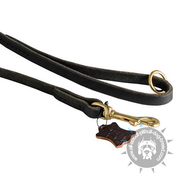 Stitched Leather Pitbull Leash with Massive Brass Snap Hook