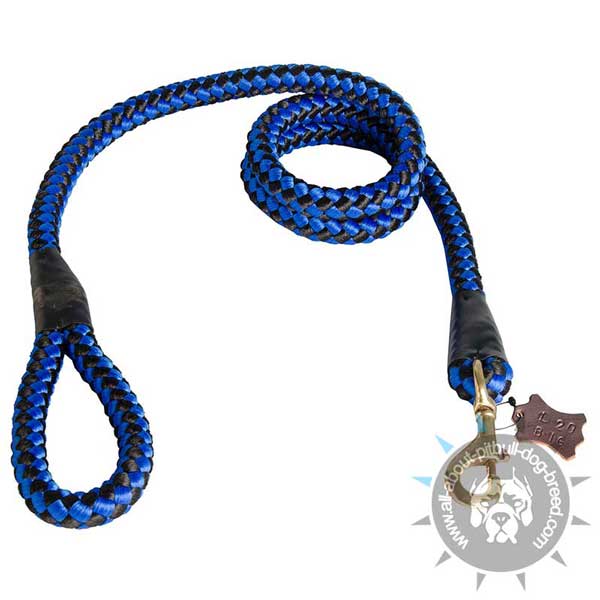 Super Strong Nylon Cord Pitbull Leash Blue for Any Weather