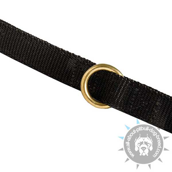 Nylon Pitbull Leash Equipped with Strong Floating Ring