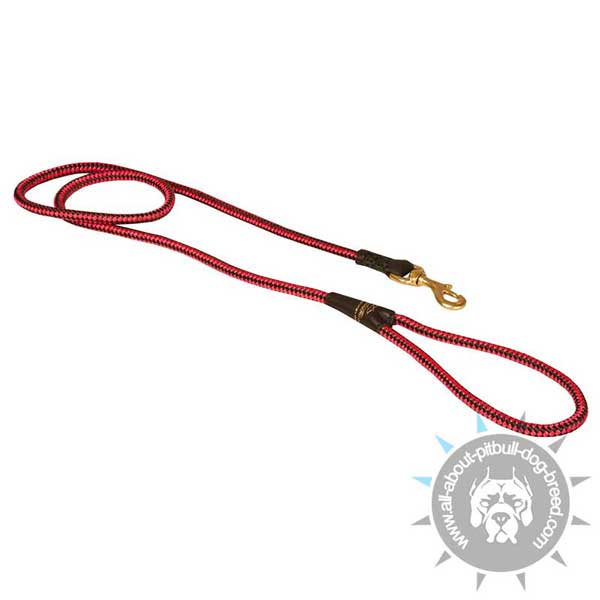 Extra Strong Nylon Cord Pitbull Leash of Red Color