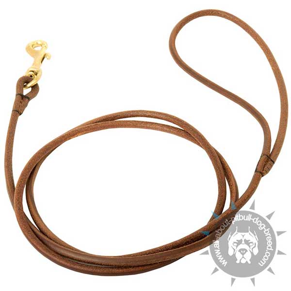Selected Leather Dog Show Leash