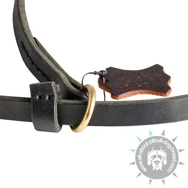 Strong D-Ring on Strong Leather Pitbull Collar