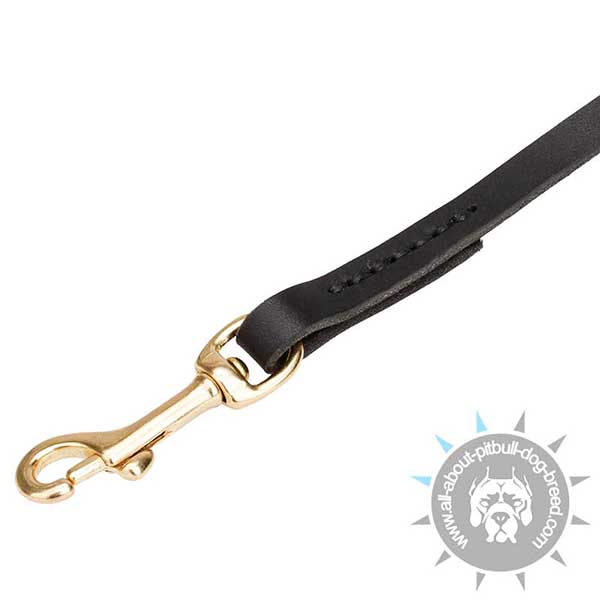 Easy-to-handle Leather Dog Leash with Brass Snap Hook