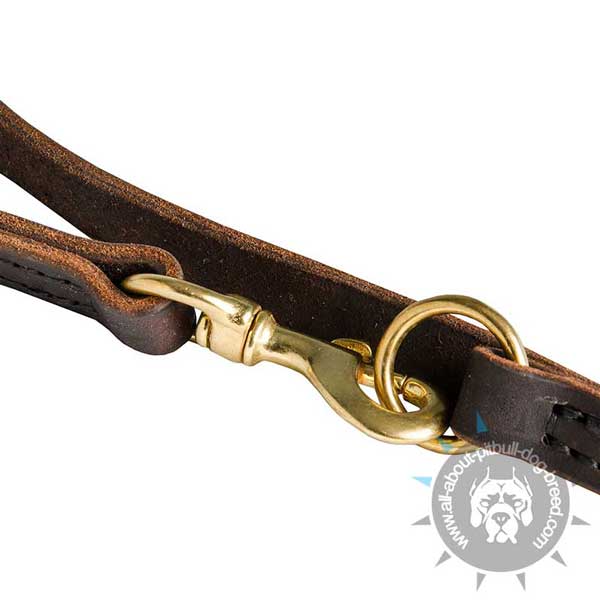 Strong Snap Hook and O-Ring on Leather Pitbull Leash