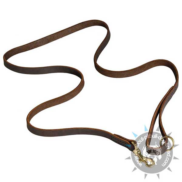 Leather Dog Leash for Management of Pit Bull