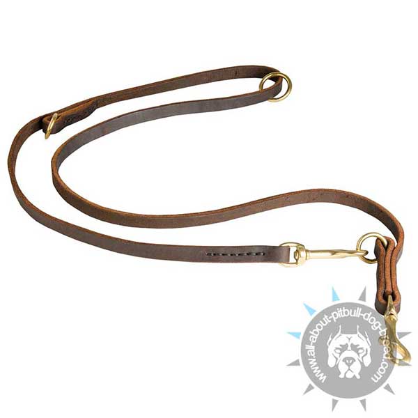 Field Leather Dog Leash for Pitbull