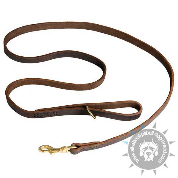 Leather Pitbull Leash with Smooth Surface