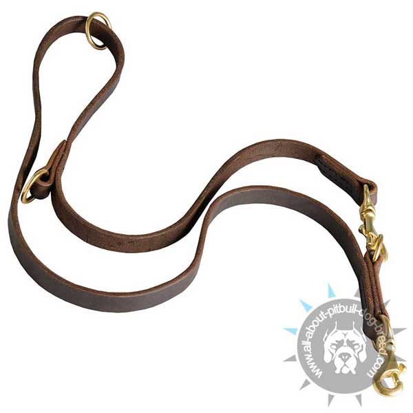 Functional Pitbull Leash Leather Perfectly Oiled